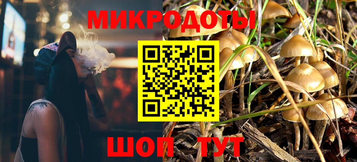 Верхняя Пышма  Галлюциногенные грибы Psilocybe  Вход с VPN 