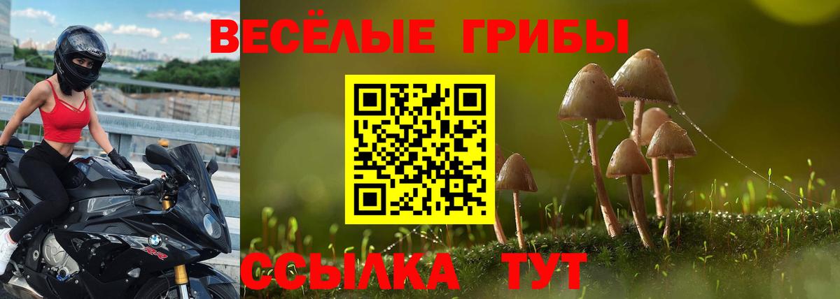 Псилоцибиновые грибы Magic Shrooms Верхняя Пышма